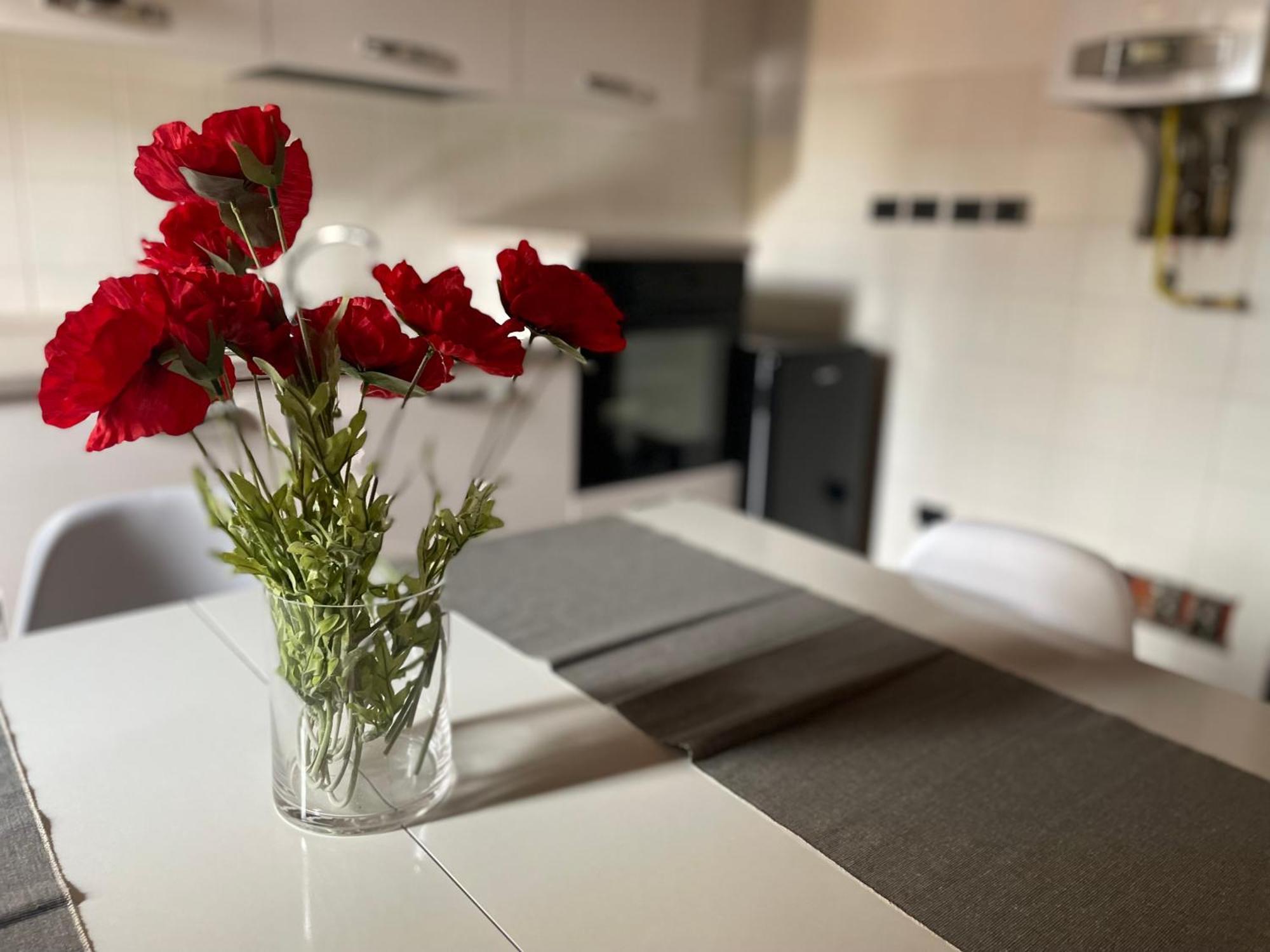 Scaligeri House Apartment Verona Bagian luar foto